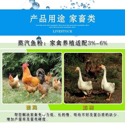 養(yǎng)殖蒸汽魚粉 鰻魚料用 桂花魚 石斑魚料營養(yǎng)添加