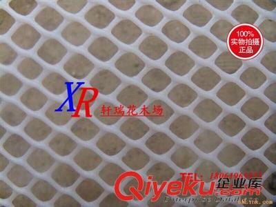 塑料網(wǎng) 批發(fā)家禽網(wǎng) 養(yǎng)殖網(wǎng) 養(yǎng)雞網(wǎng) 攔雞網(wǎng) 尼龍網(wǎng) 塑料網(wǎng) 防鳥(niǎo)網(wǎng)漁網(wǎng)圍網(wǎng)-沭陽(yáng)縣新河鎮(zhèn)軒瑞花木場(chǎng)提供塑料網(wǎng) 批發(fā)家禽網(wǎng) 養(yǎng)殖網(wǎng) 養(yǎng)雞網(wǎng) 攔雞網(wǎng) 尼龍網(wǎng) 塑料網(wǎng) 防鳥(niǎo)網(wǎng)漁網(wǎng)圍網(wǎng)的相關(guān)介紹、產(chǎn)品、服務(wù)、圖片、價(jià)格沭陽(yáng)縣新河鎮(zhèn)軒瑞花木場(chǎng)、綠化苗;果樹(shù)苗;種子;盆栽;園藝用品;花盆;水生植物;牧草種子