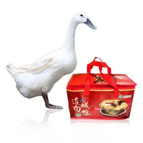 明日廈門這里要火了 海峽導(dǎo)購開啟大型特賣會,全場1元起,就等你來