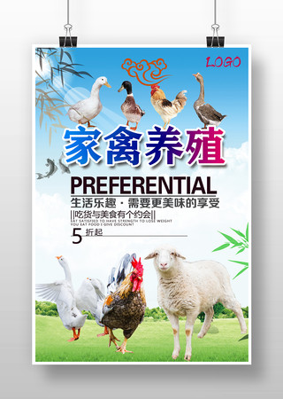 家禽養(yǎng)殖海報